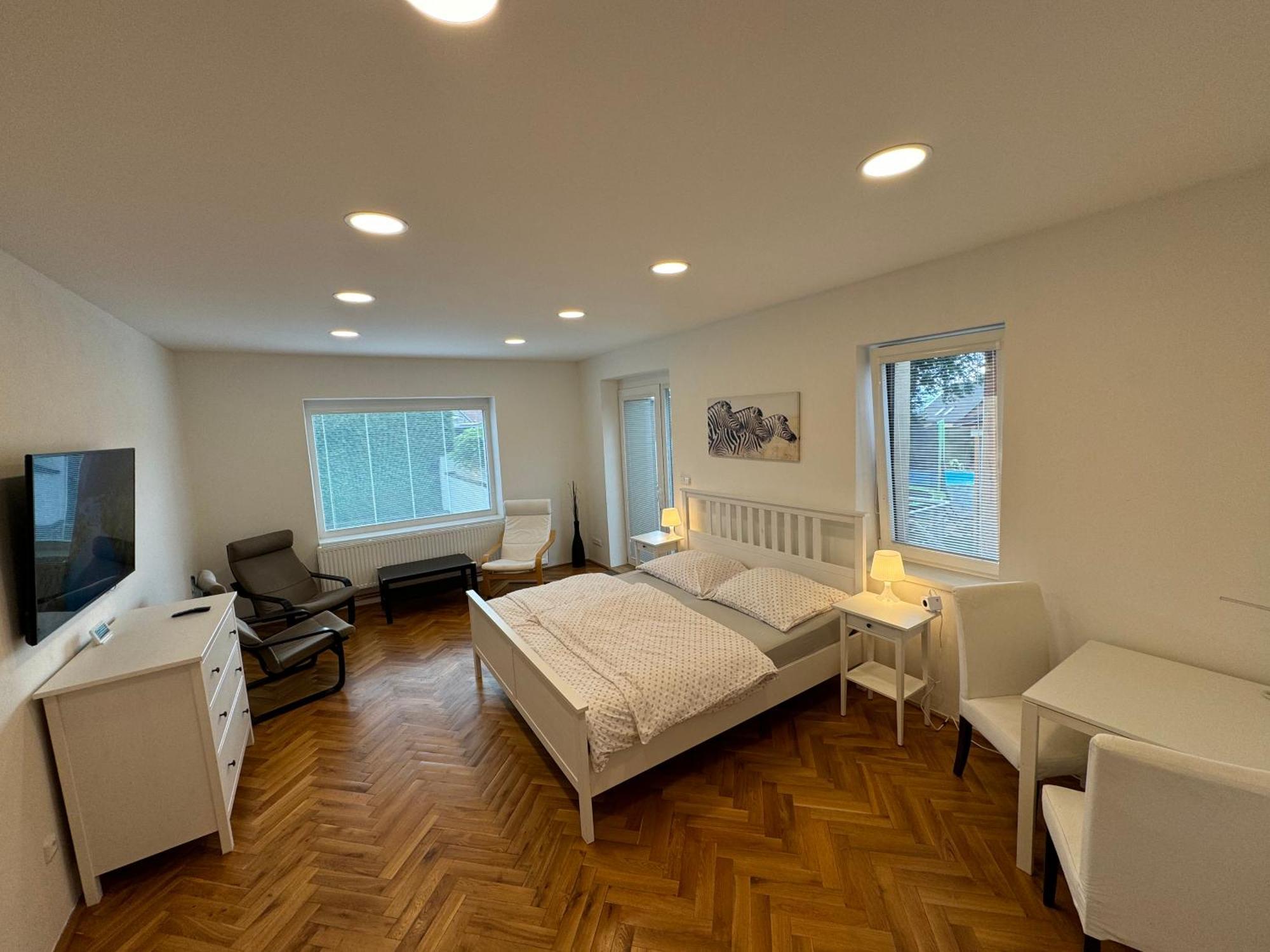 Nova Tyrsova Apartment